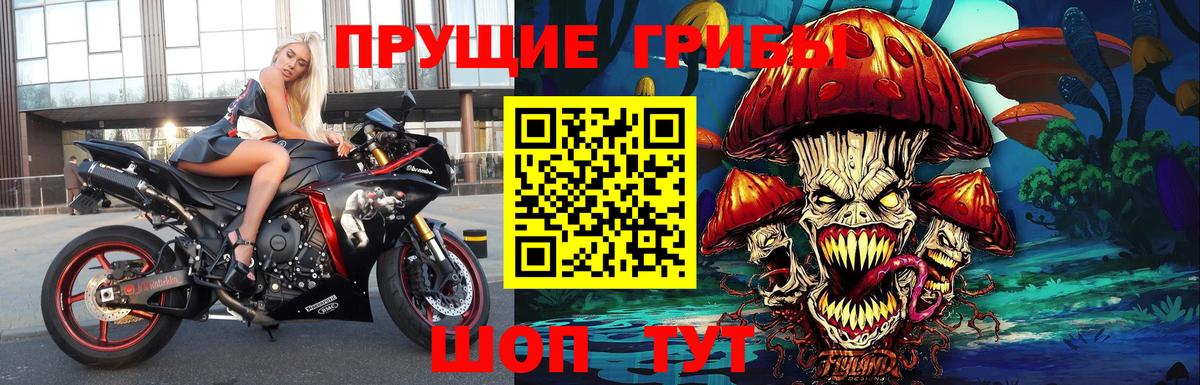 Псилоцибиновые грибы Psilocybe  Псилоцибиновые грибы MAGIC MUSHROOMS  Вход с VPN  Верхняя Салда 