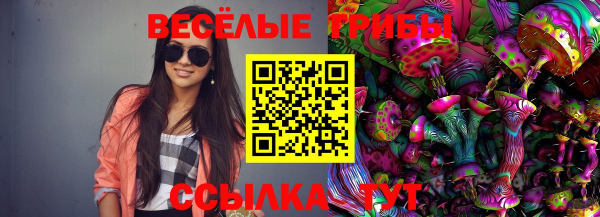 Псилоцибиновые грибы мицелий Верхняя Салда